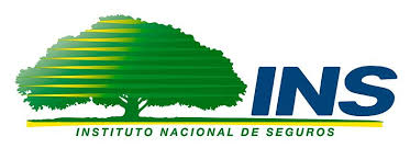 Logo INS – seguro médico con cobertura en Clínica Spazio